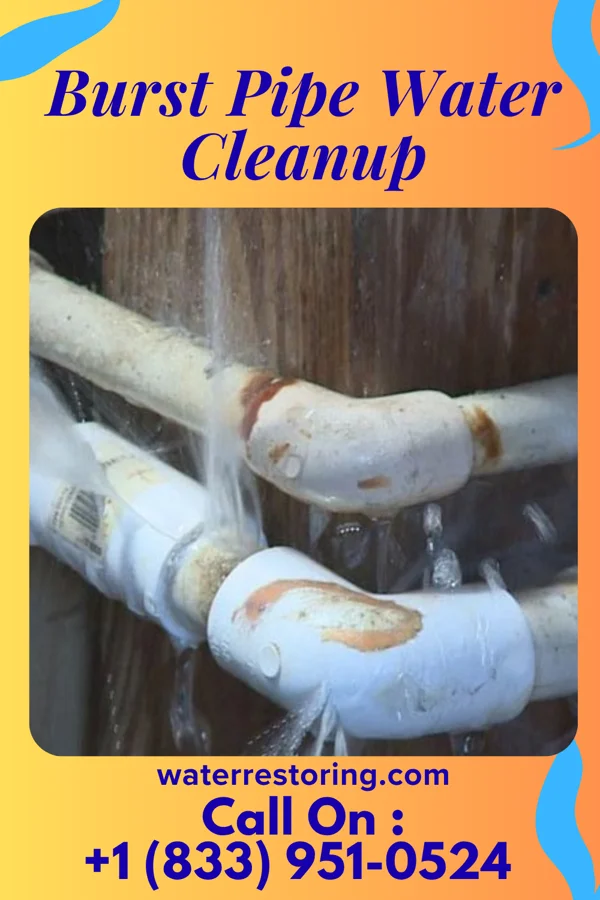 Burst Pipe Water Cleanup in Shoemakersville, PA