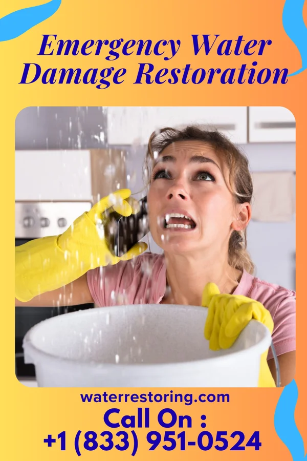 Emergency Water Damage Restoration in Shoemakersville, PA