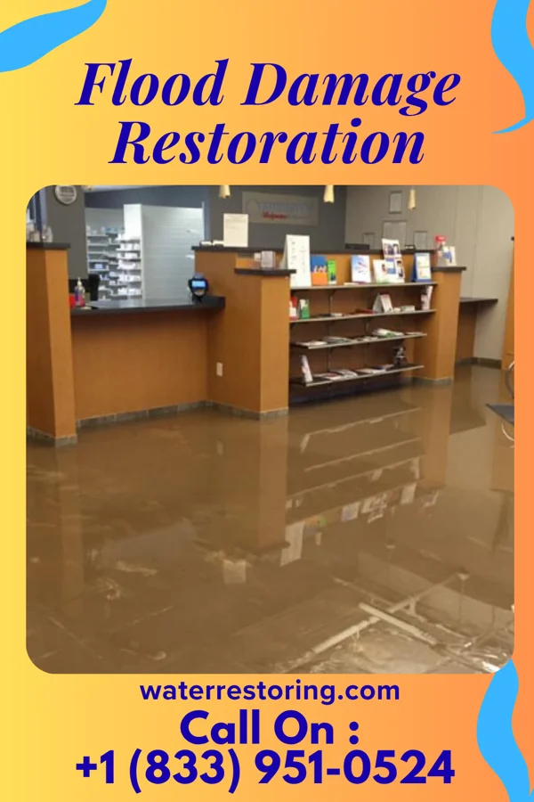 Flood Damage Restoration in Shoemakersville, PA