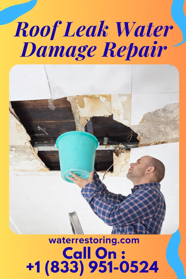 Roof Leak Water Damage Repair in Shoemakersville, PA