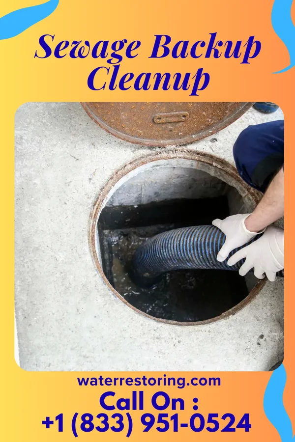 Sewage Backup Cleanup in Shoemakersville, PA